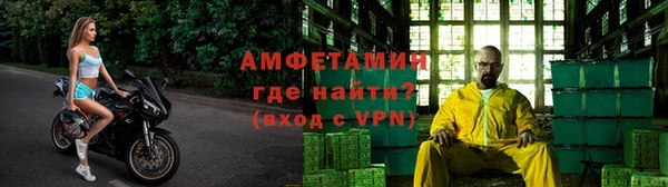 сатива Богданович