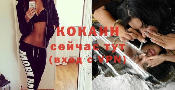 сатива Богданович