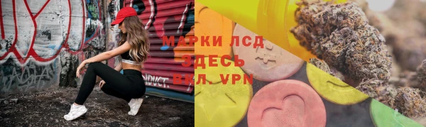 сатива Богданович