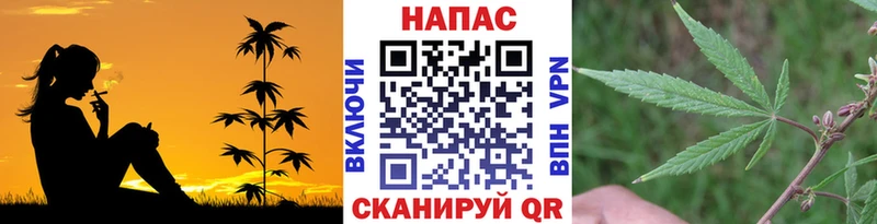 Купить  Учалы  Марихуана MAZAR 